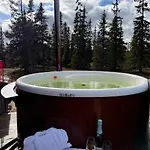 Feriehus Timber With Wood-fired Hot Tub In Trysil