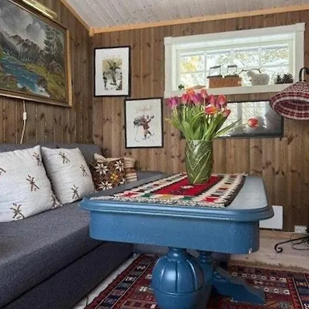 Timber With Wood-fired Hot Tub In Trysil * Granasen