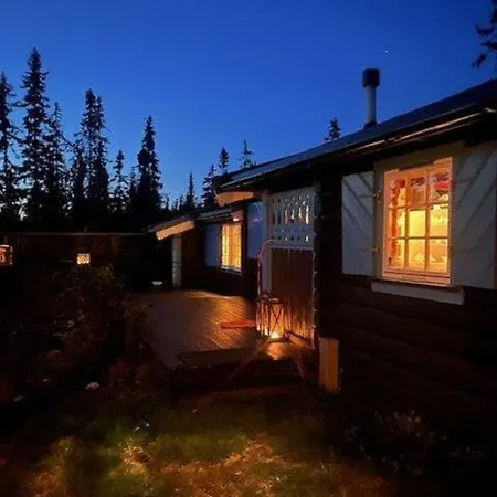 Timber With Wood-fired Hot Tub In Trysil